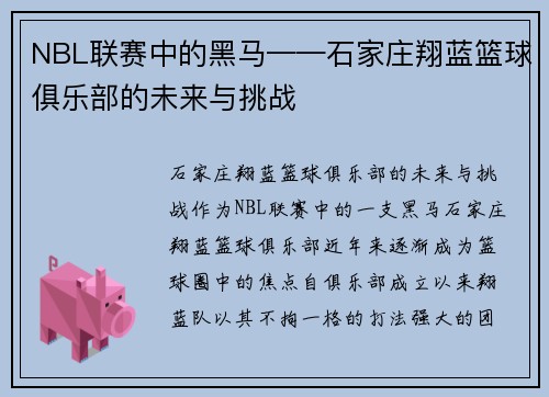 NBL联赛中的黑马——石家庄翔蓝篮球俱乐部的未来与挑战